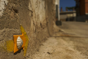 Camino